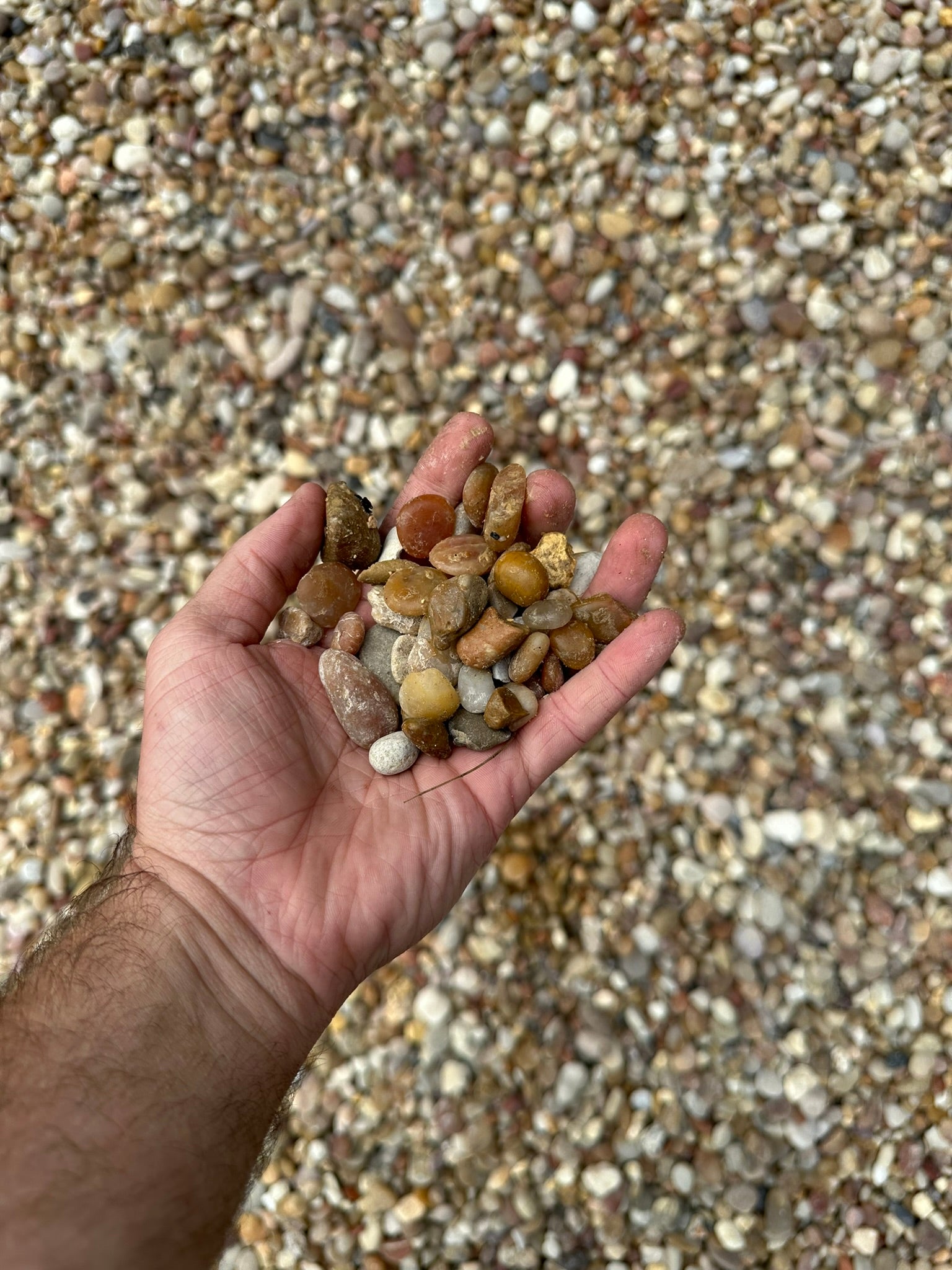Pea Gravel {1 TON}