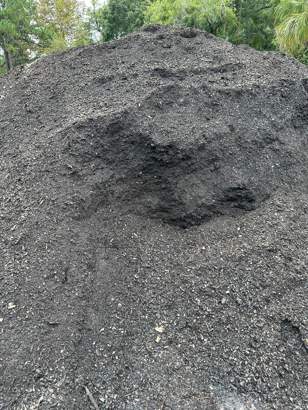 Screened Black Top Soil {1 TON}